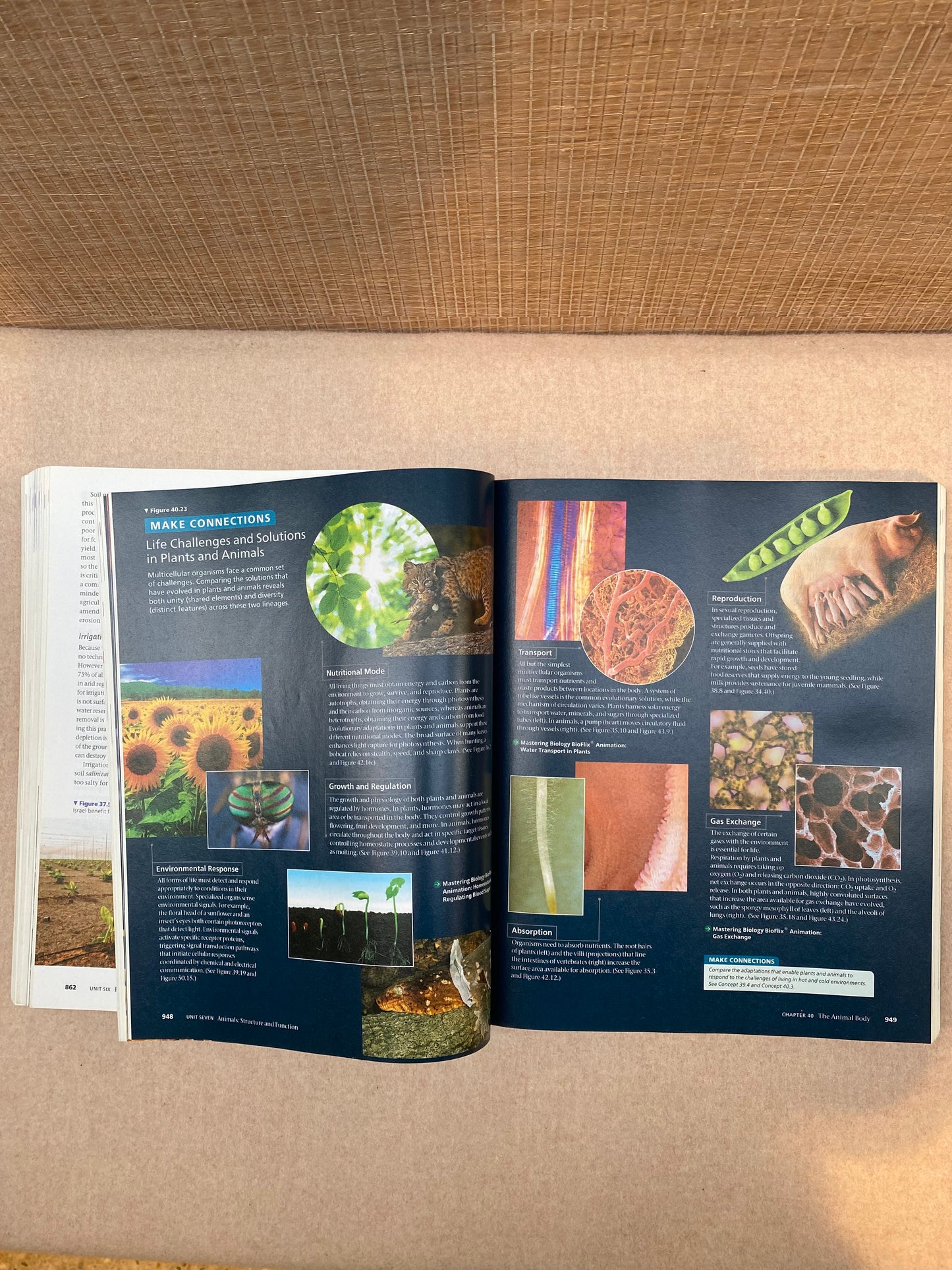 Biology a Global Approach 12th edition