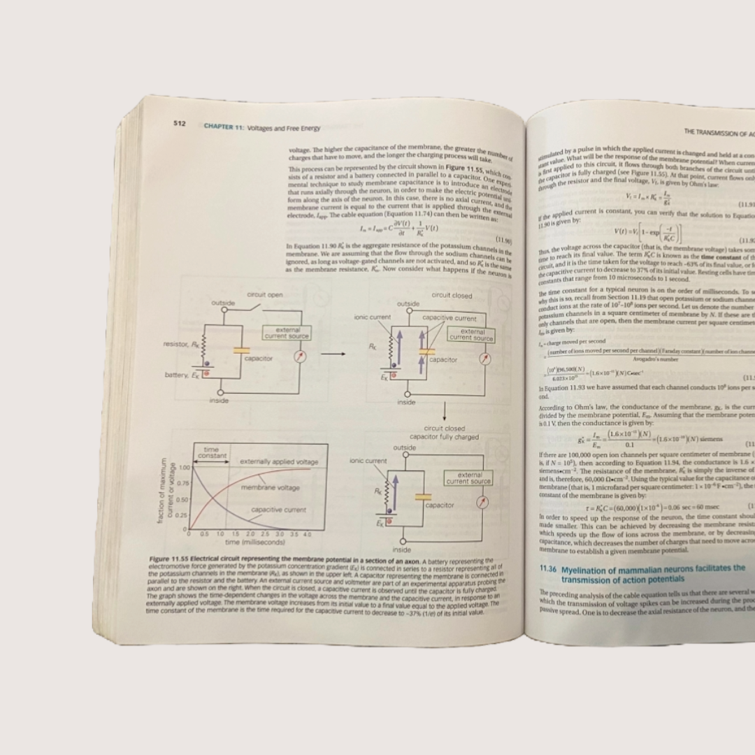The MOLECULES of LIFE: Physical and Chemical Principles