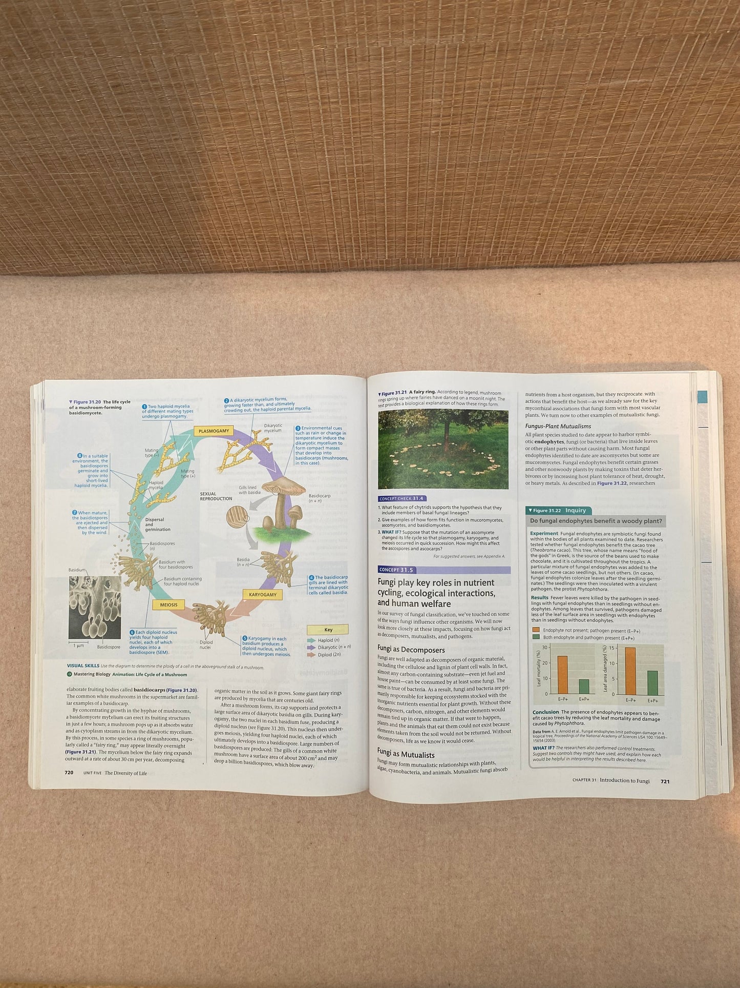 Biology a Global Approach 12th edition
