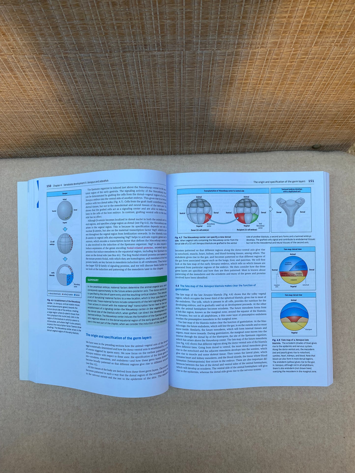 Principles of Development 6th Edition