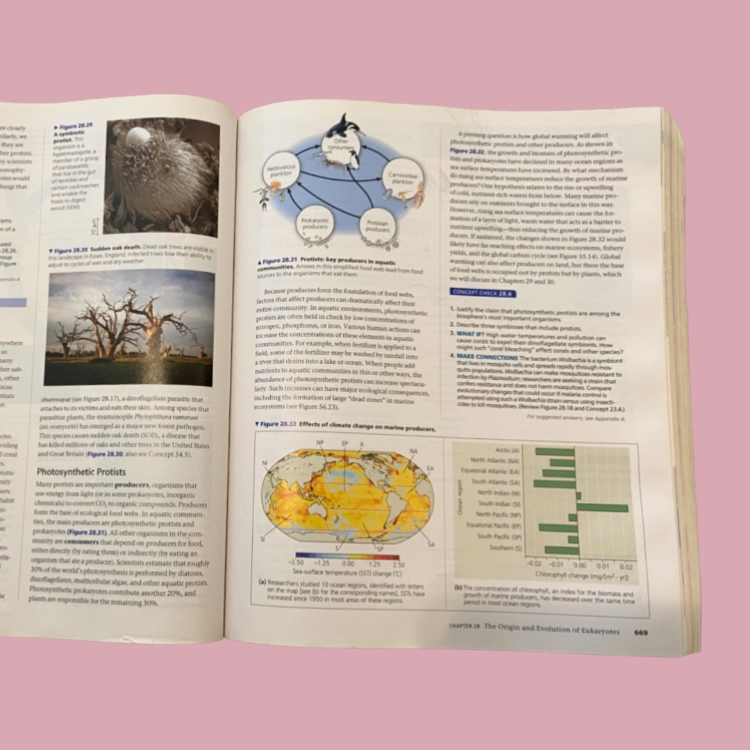 Biology a Global Approach, 12th Edition