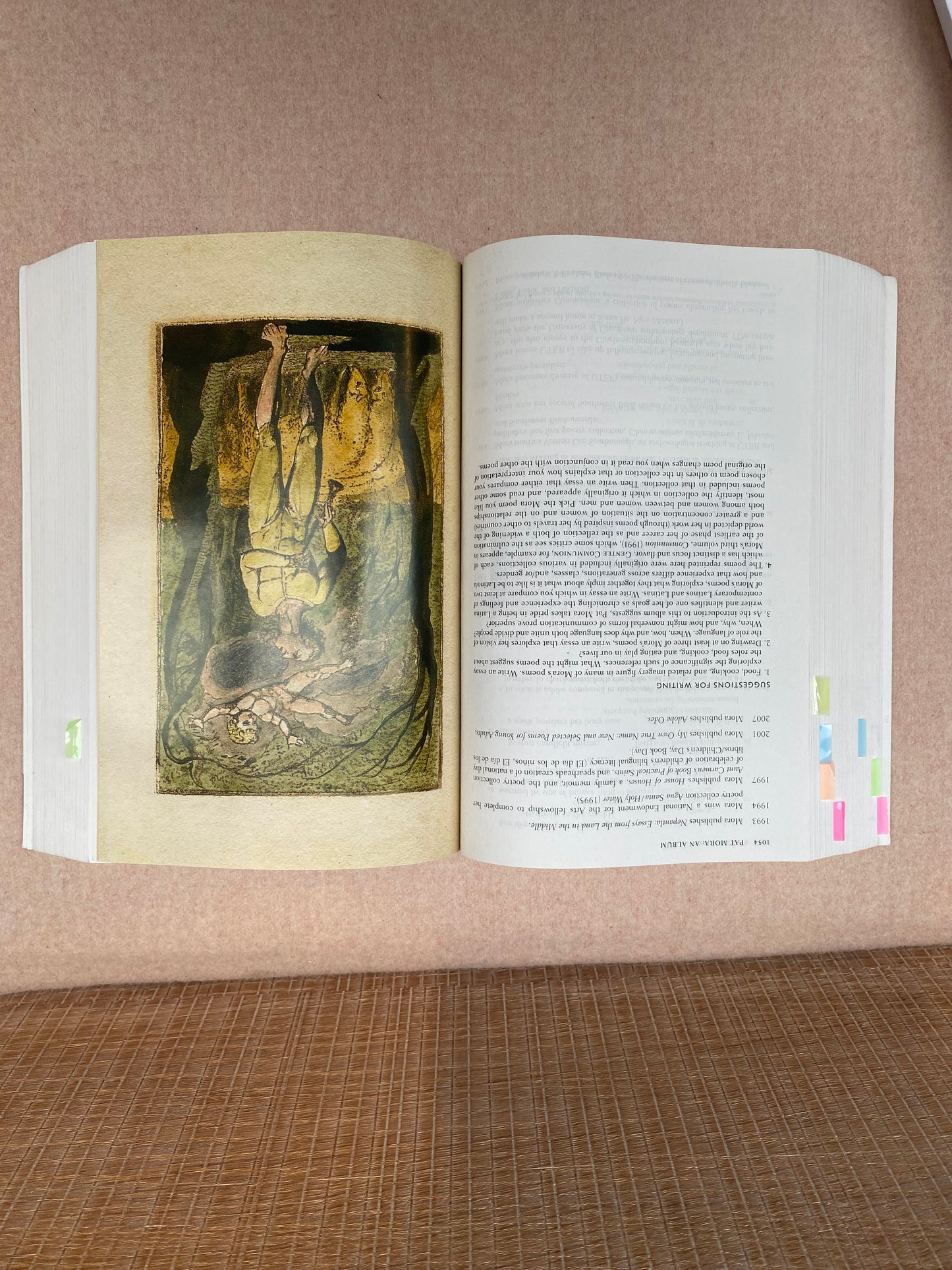 The Norton Introduction to Literature