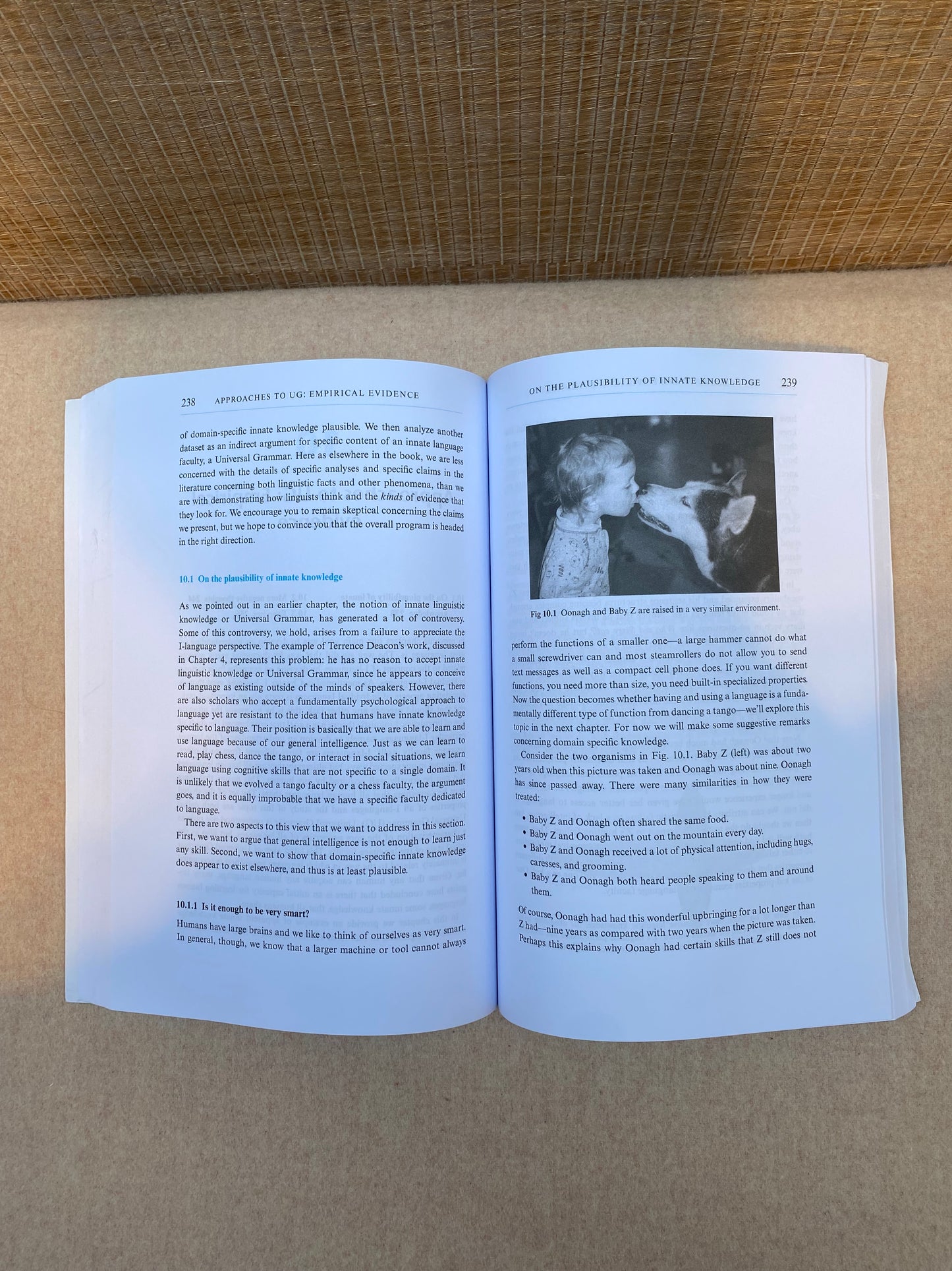 I-Language An Introduction to Linguistics as Cognitive Science 2nd edition