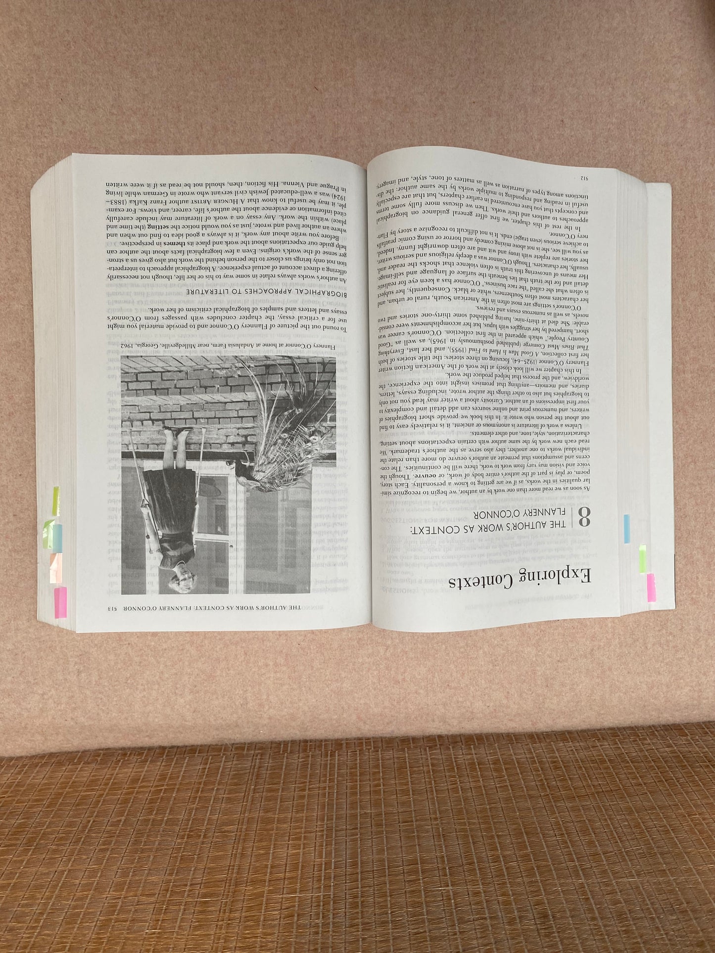 The Norton Introduction to Literature